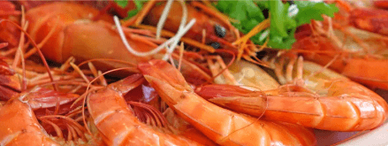 DRY PRAWNS